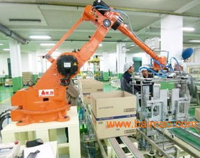 山東景昂酒箱碼垛機 機電產(chǎn)品開發(fā)下的高效自動化解決方案與廠家報價解析